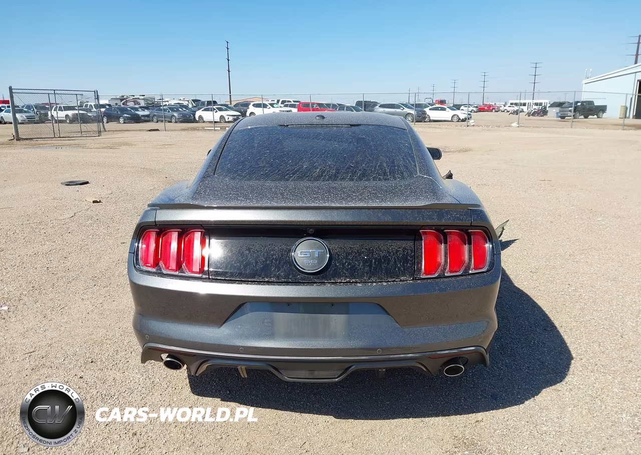 2015 Ford Mustang Gt Premium VIN:1FA6P8CFXF5304894 - 16