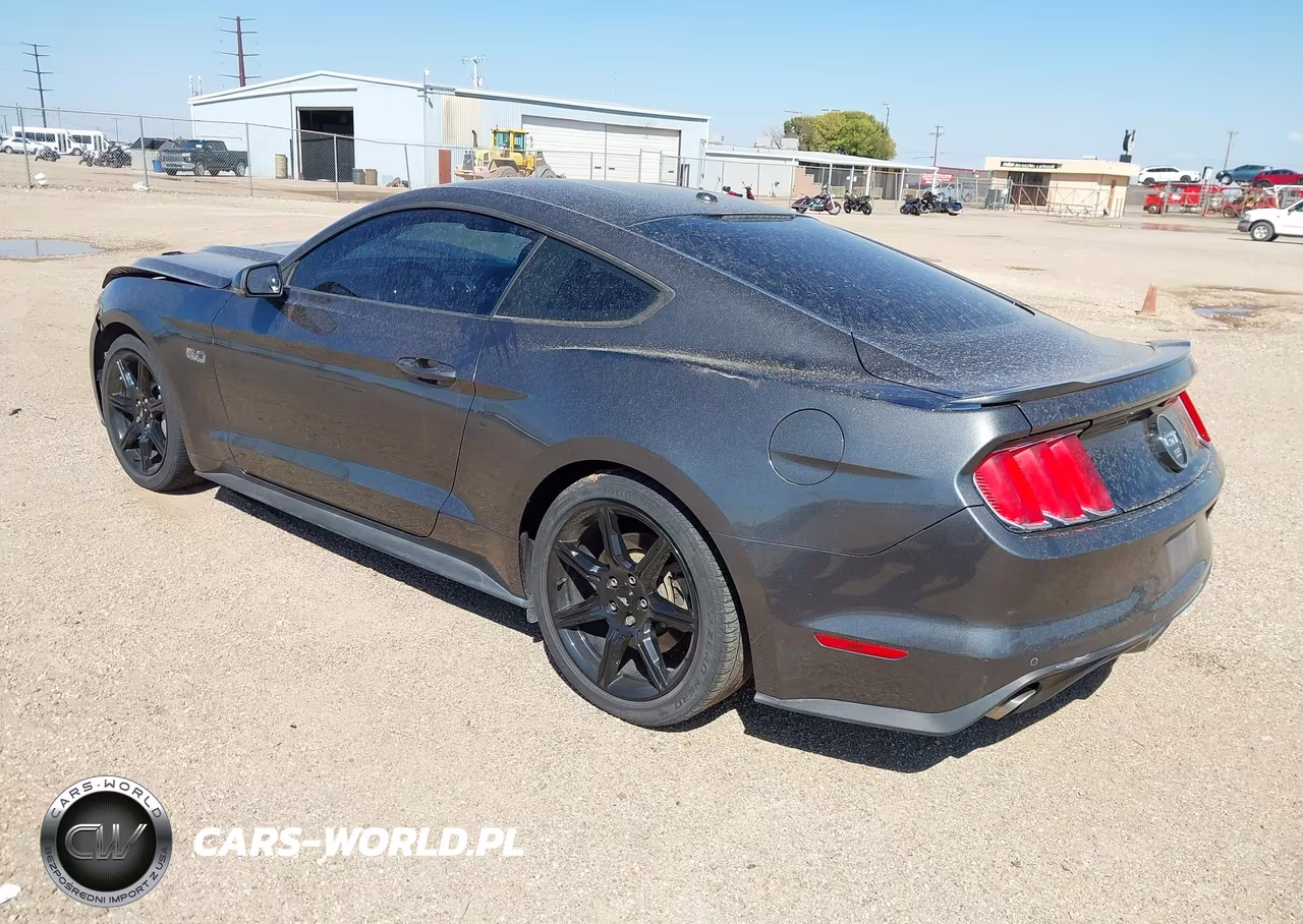 2015 Ford Mustang Gt Premium VIN:1FA6P8CFXF5304894 - 3
