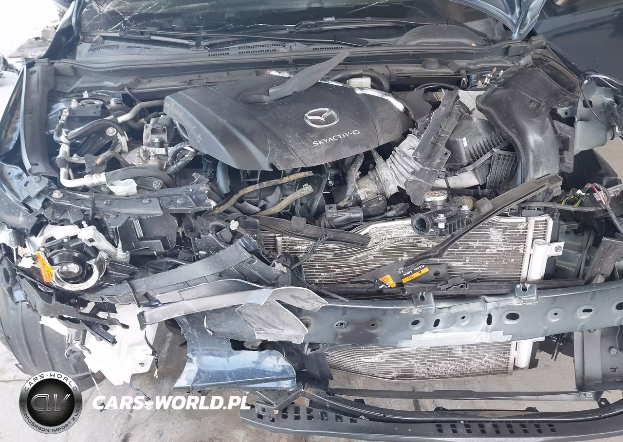 2021 Mazda Mazda3 2.5 S VIN:JM1BPAAL3M1342741 - 10