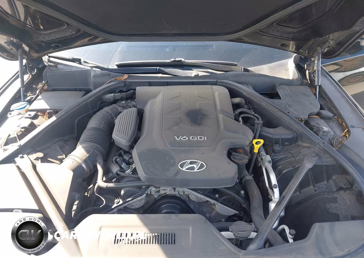 2015 Hyundai Genesis 3.8 VIN:KMHGN4JEXFU100136 - 10