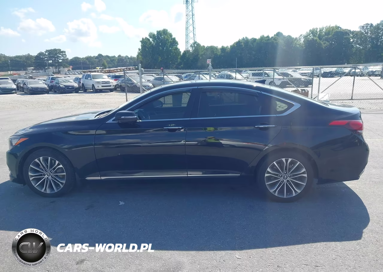 2015 Hyundai Genesis 3.8 VIN:KMHGN4JEXFU100136 - 14