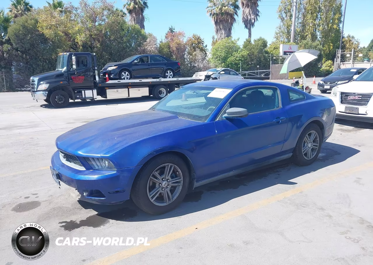 2012 Ford Mustang V6 VIN:1ZVBP8AMXC5210582 - 2