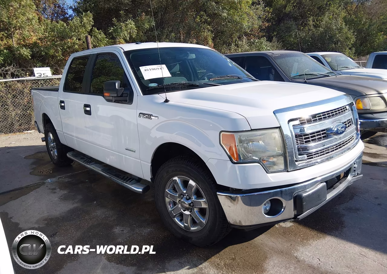 2013 Ford F-150 Xlt VIN:1FTFW1CT1DKD46430 - 1
