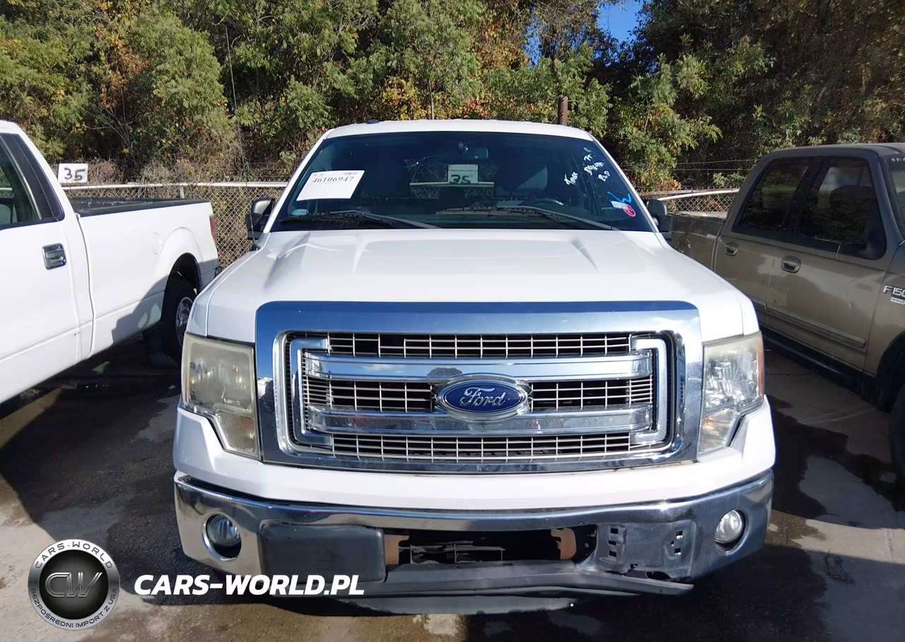 2013 Ford F-150 Xlt VIN:1FTFW1CT1DKD46430 - 12