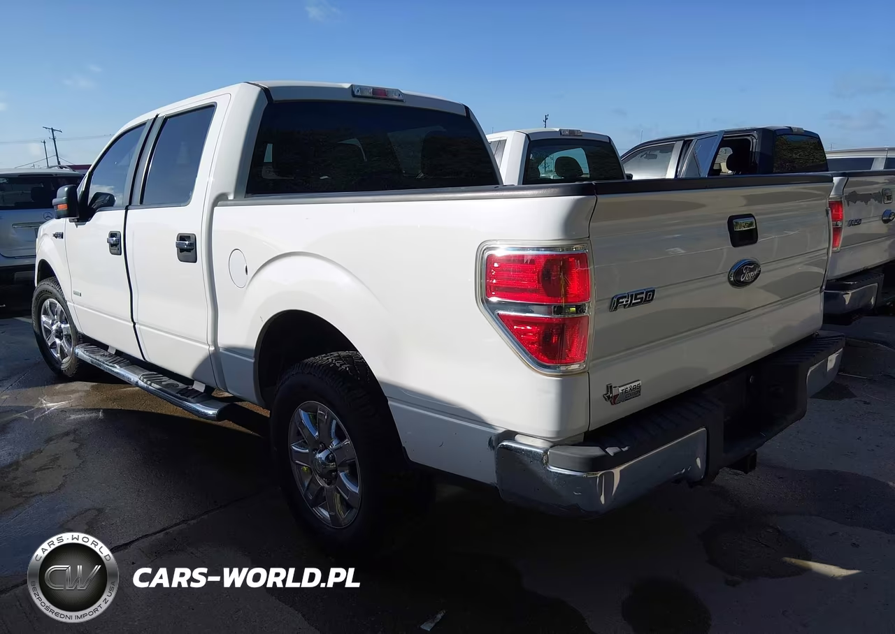 2013 Ford F-150 Xlt VIN:1FTFW1CT1DKD46430 - 3