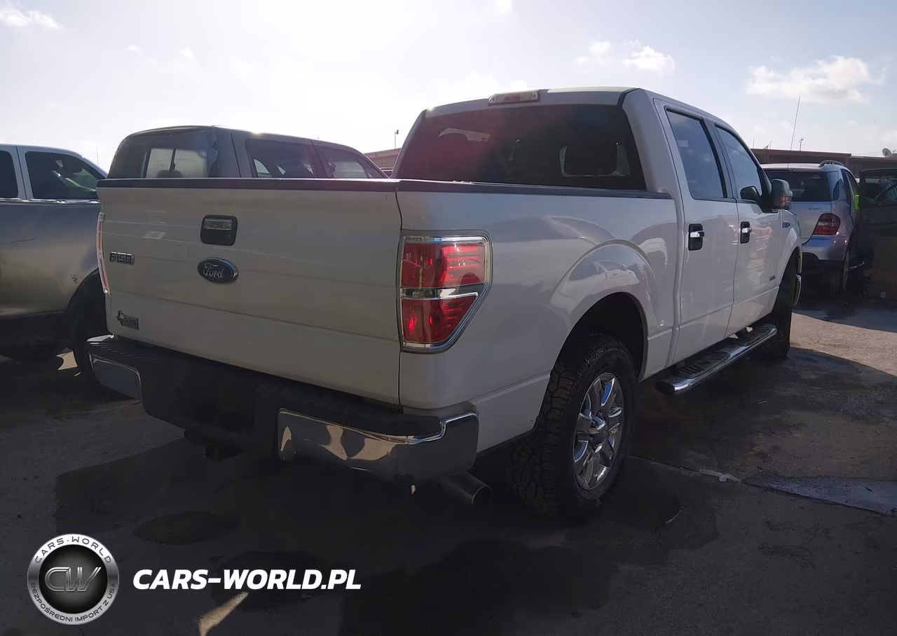 2013 Ford F-150 Xlt VIN:1FTFW1CT1DKD46430 - 4