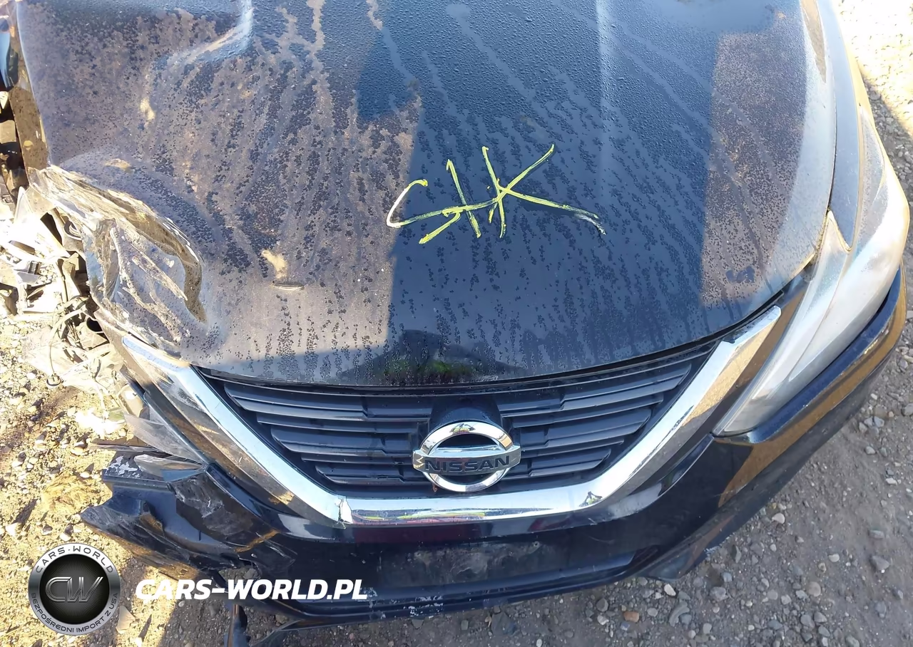 2018 Nissan Altima 2.5 Sl VIN:1N4AL3AP8JC183825 - 10