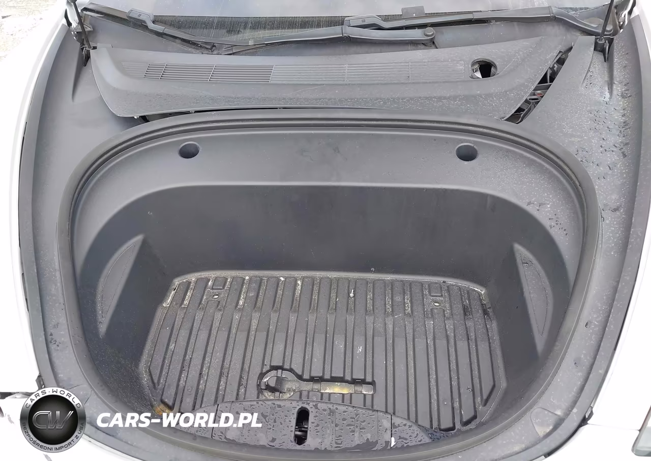 2020 Tesla Model 3 Standard Range Plus Rear-Wheel Drive-Standard Range Rear-Wheel Drive VIN:5YJ3E1EA8LF785928 - 10