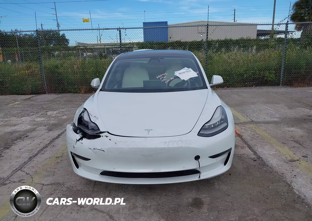 2020 Tesla Model 3 Standard Range Plus Rear-Wheel Drive-Standard Range Rear-Wheel Drive VIN:5YJ3E1EA8LF785928 - 12