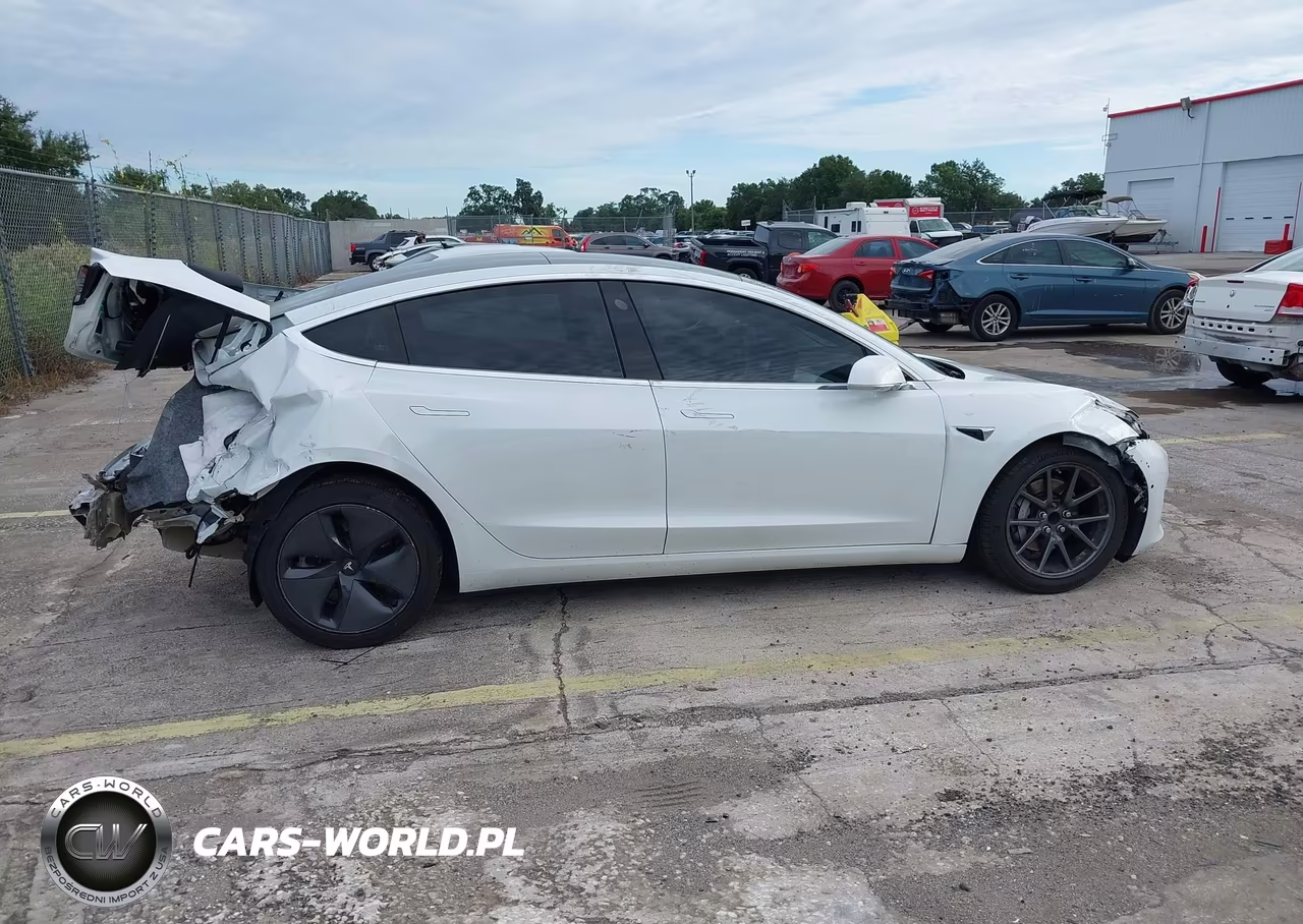 2020 Tesla Model 3 Standard Range Plus Rear-Wheel Drive-Standard Range Rear-Wheel Drive VIN:5YJ3E1EA8LF785928 - 13