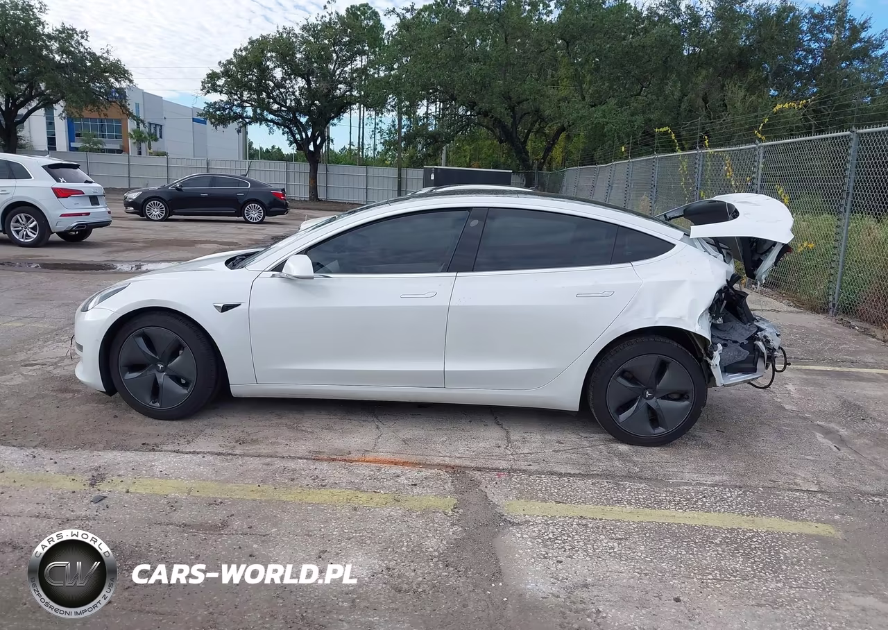 2020 Tesla Model 3 Standard Range Plus Rear-Wheel Drive-Standard Range Rear-Wheel Drive VIN:5YJ3E1EA8LF785928 - 14