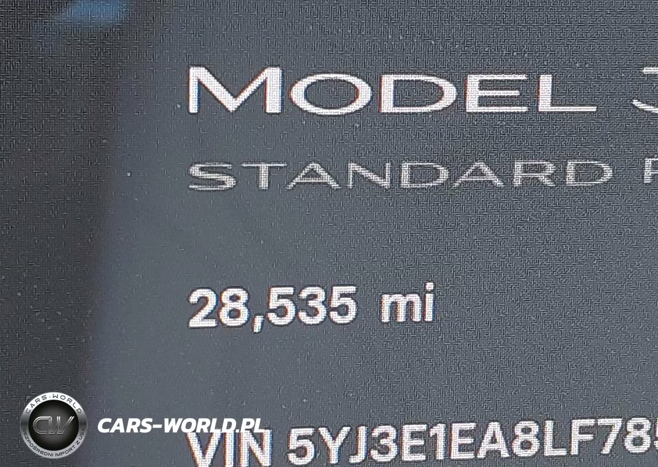 2020 Tesla Model 3 Standard Range Plus Rear-Wheel Drive-Standard Range Rear-Wheel Drive VIN:5YJ3E1EA8LF785928 - 15