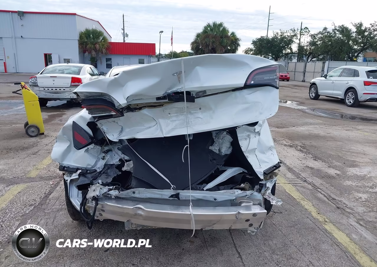 2020 Tesla Model 3 Standard Range Plus Rear-Wheel Drive-Standard Range Rear-Wheel Drive VIN:5YJ3E1EA8LF785928 - 16