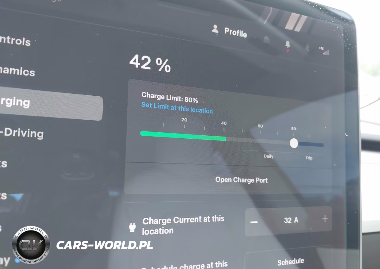 2020 Tesla Model 3 Standard Range Plus Rear-Wheel Drive-Standard Range Rear-Wheel Drive VIN:5YJ3E1EA8LF785928 - 17
