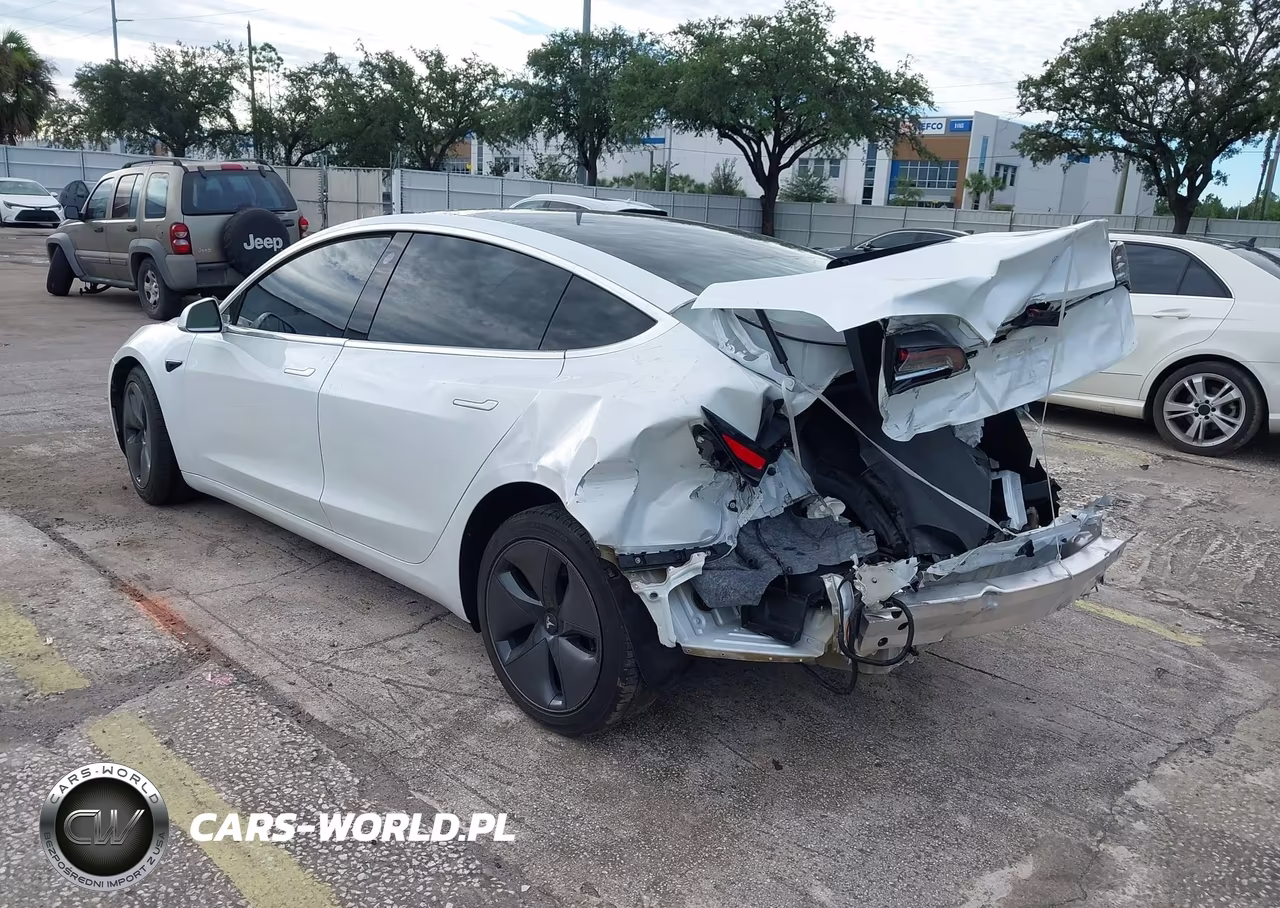 2020 Tesla Model 3 Standard Range Plus Rear-Wheel Drive-Standard Range Rear-Wheel Drive VIN:5YJ3E1EA8LF785928 - 3
