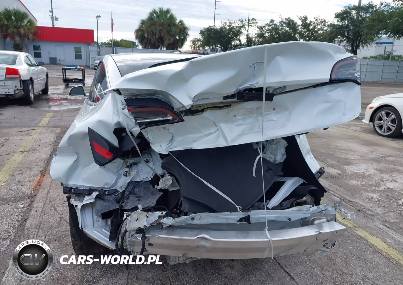 2020 Tesla Model 3 Standard Range Plus Rear-Wheel Drive-Standard Range Rear-Wheel Drive VIN:5YJ3E1EA8LF785928 - 6