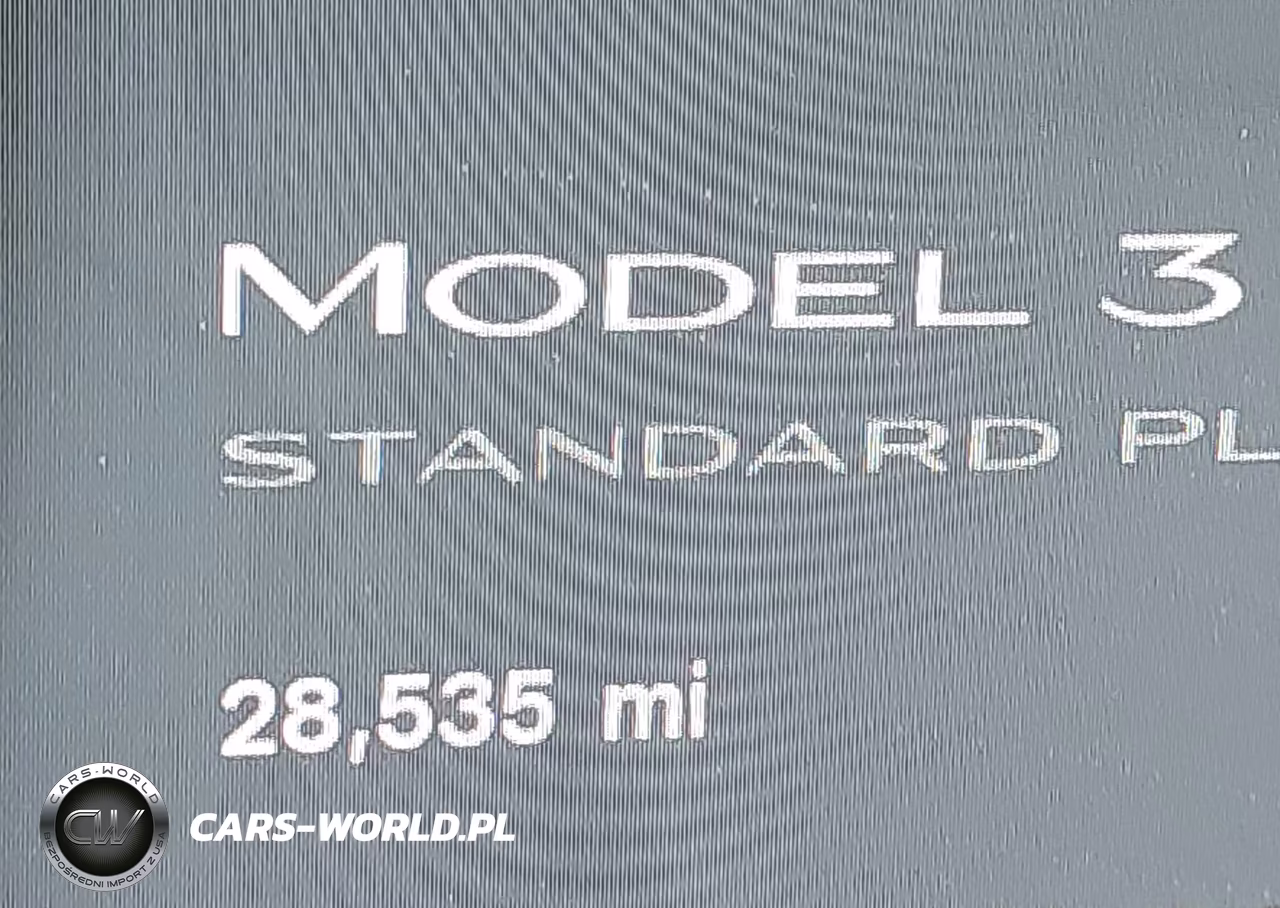 2020 Tesla Model 3 Standard Range Plus Rear-Wheel Drive-Standard Range Rear-Wheel Drive VIN:5YJ3E1EA8LF785928 - 7