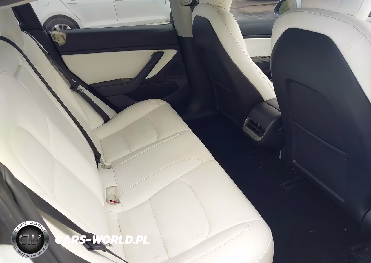 2020 Tesla Model 3 Standard Range Plus Rear-Wheel Drive-Standard Range Rear-Wheel Drive VIN:5YJ3E1EA8LF785928 - 8
