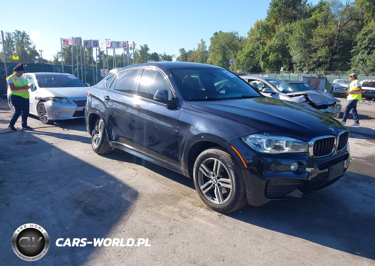 2016 BMW X6 xDrive35I – zdjęcie 1 z 17