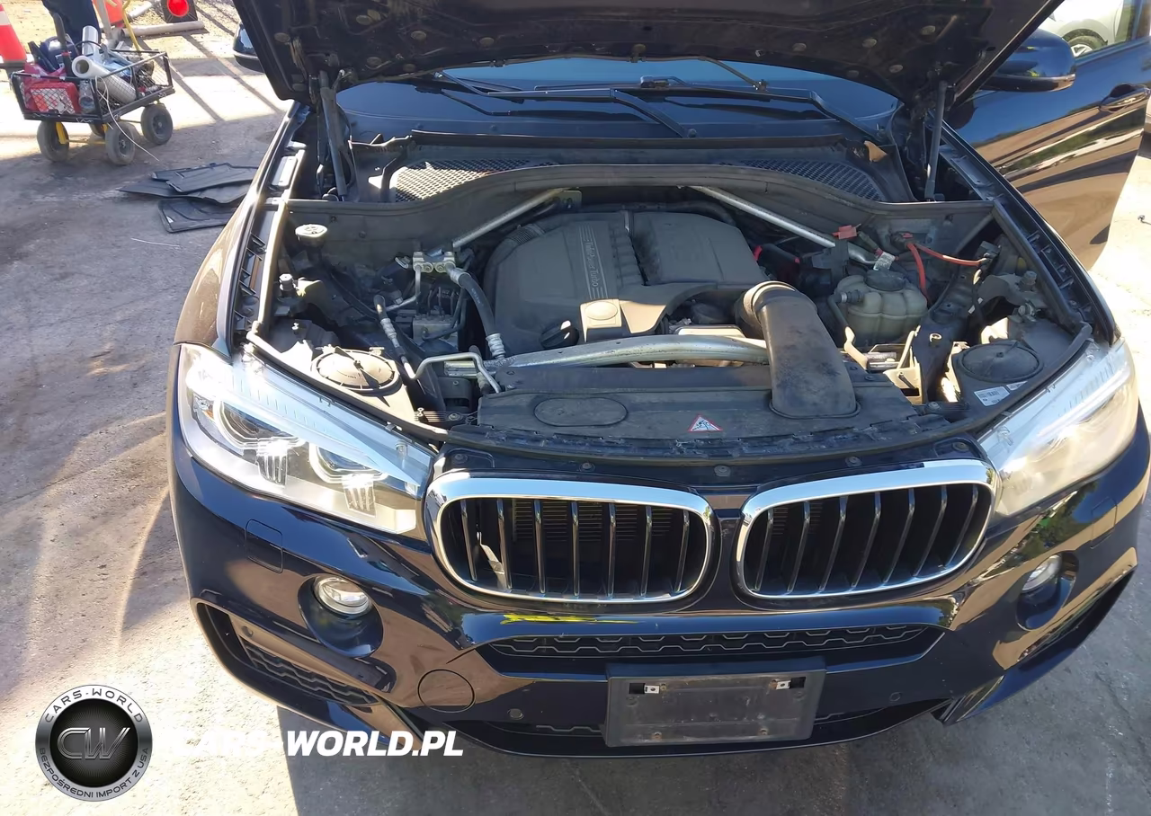 2016 BMW X6 xDrive35I VIN:5UXKU2C53G0N82233 - 10