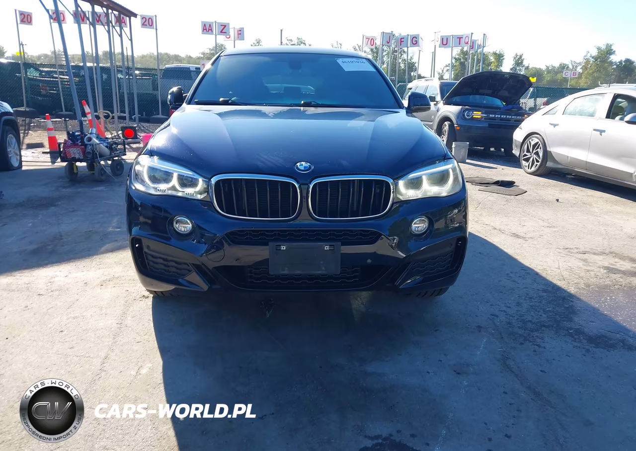 2016 BMW X6 xDrive35I VIN:5UXKU2C53G0N82233 - 12