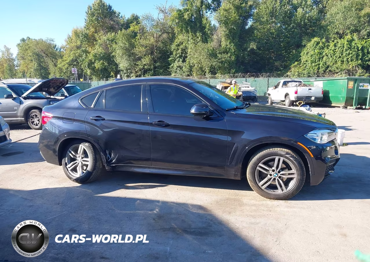 2016 BMW X6 xDrive35I VIN:5UXKU2C53G0N82233 - 13