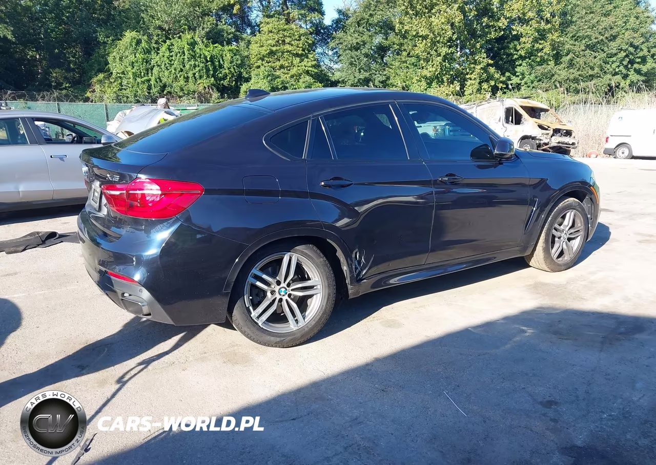 2016 BMW X6 xDrive35I VIN:5UXKU2C53G0N82233 - 4