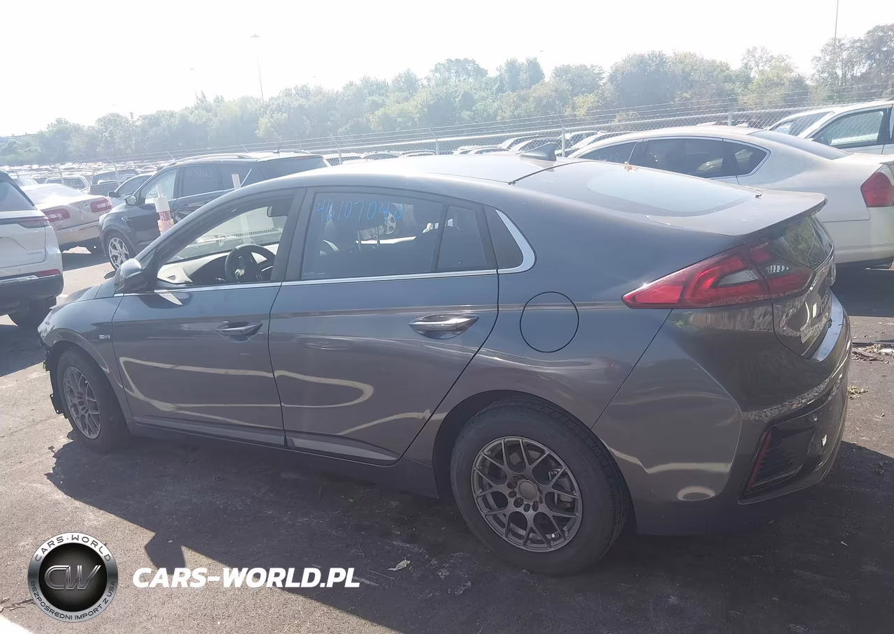 2018 Hyundai Ioniq Hybrid Sel VIN:KMHC75LC1JU103090 - 13