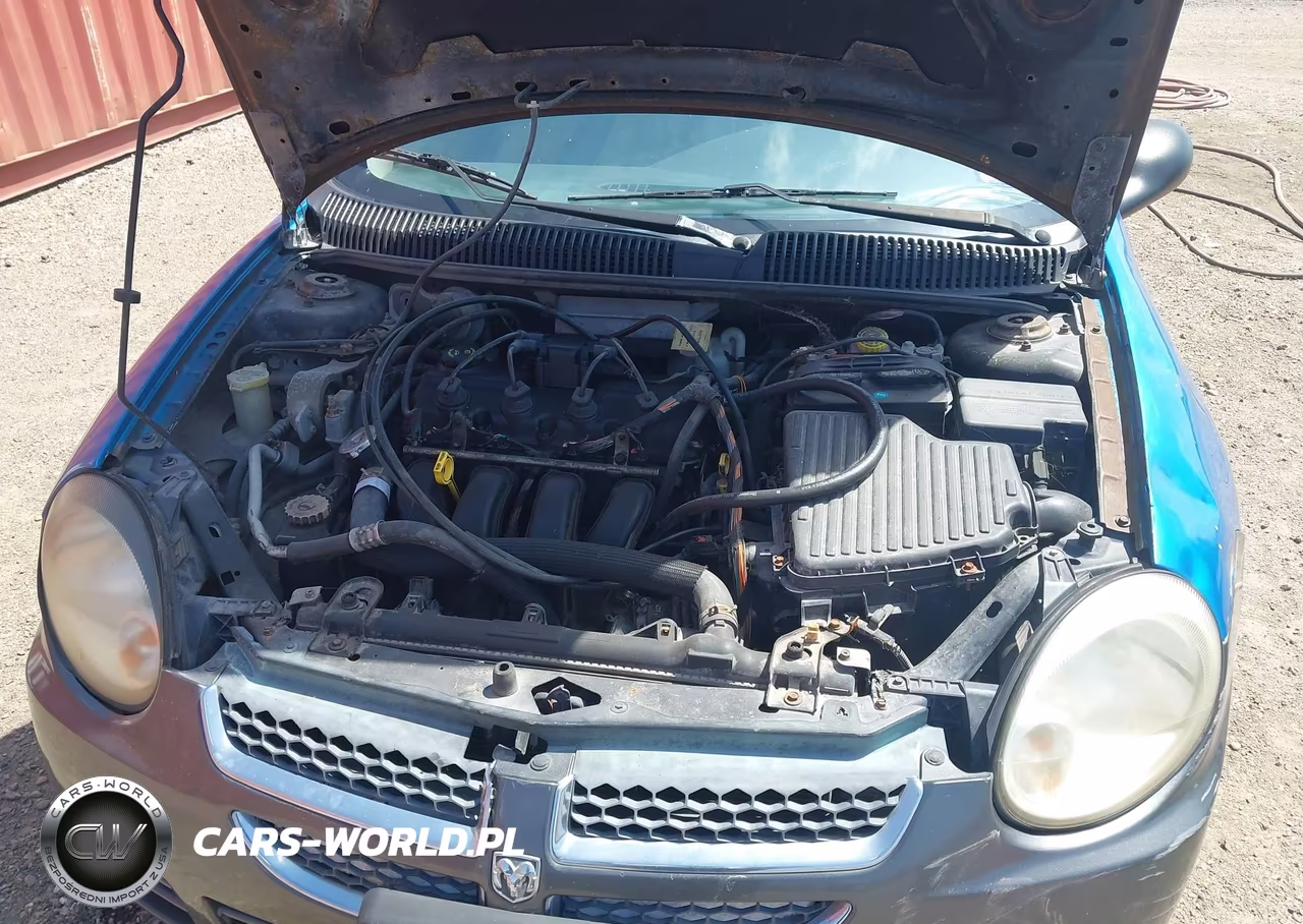 2005 Dodge Neon Sxt VIN:1B3ES56CX5D260762 - 6