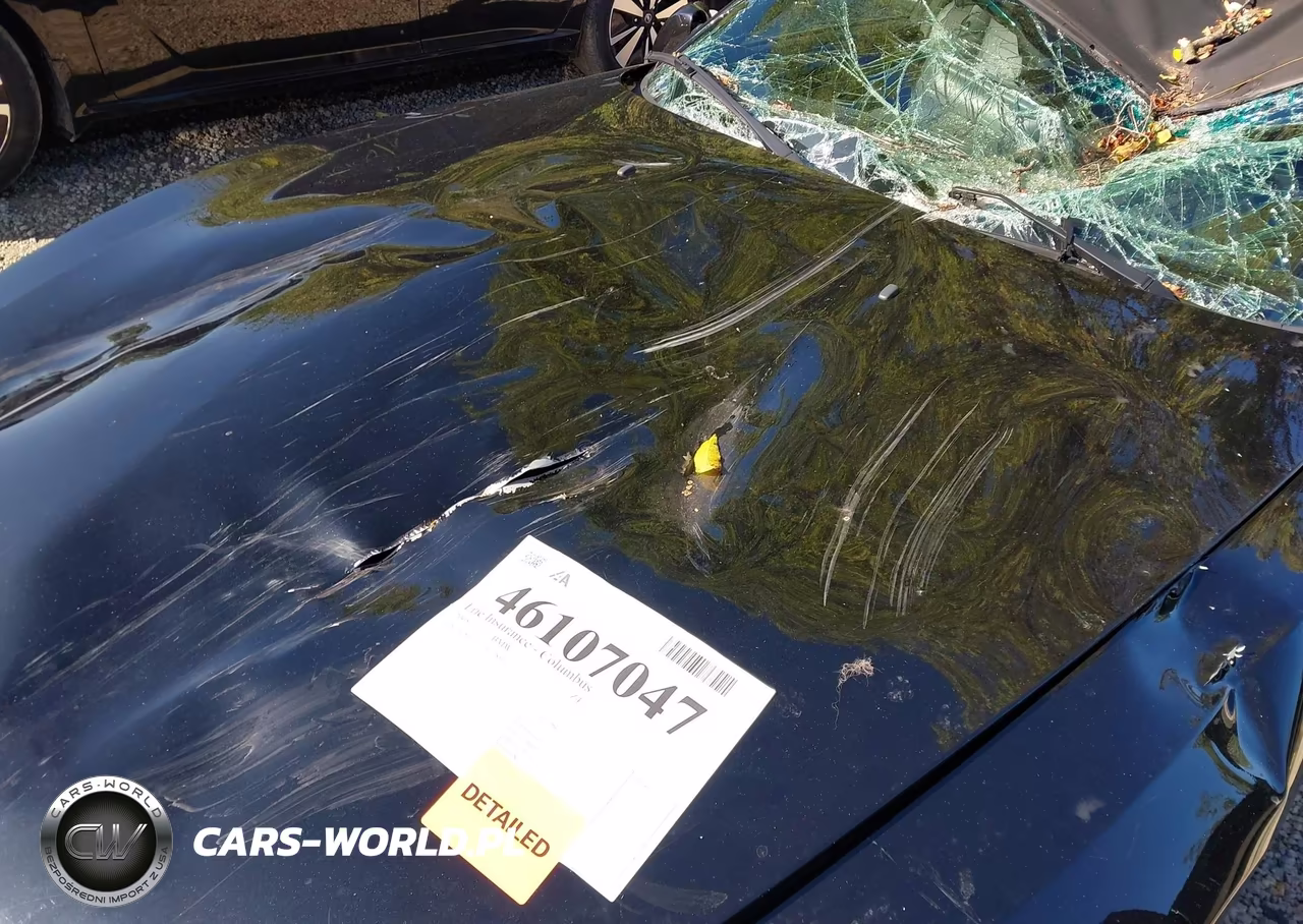 2005 BMW Z4 3.0I VIN:4USBT53525LT28105 - 6