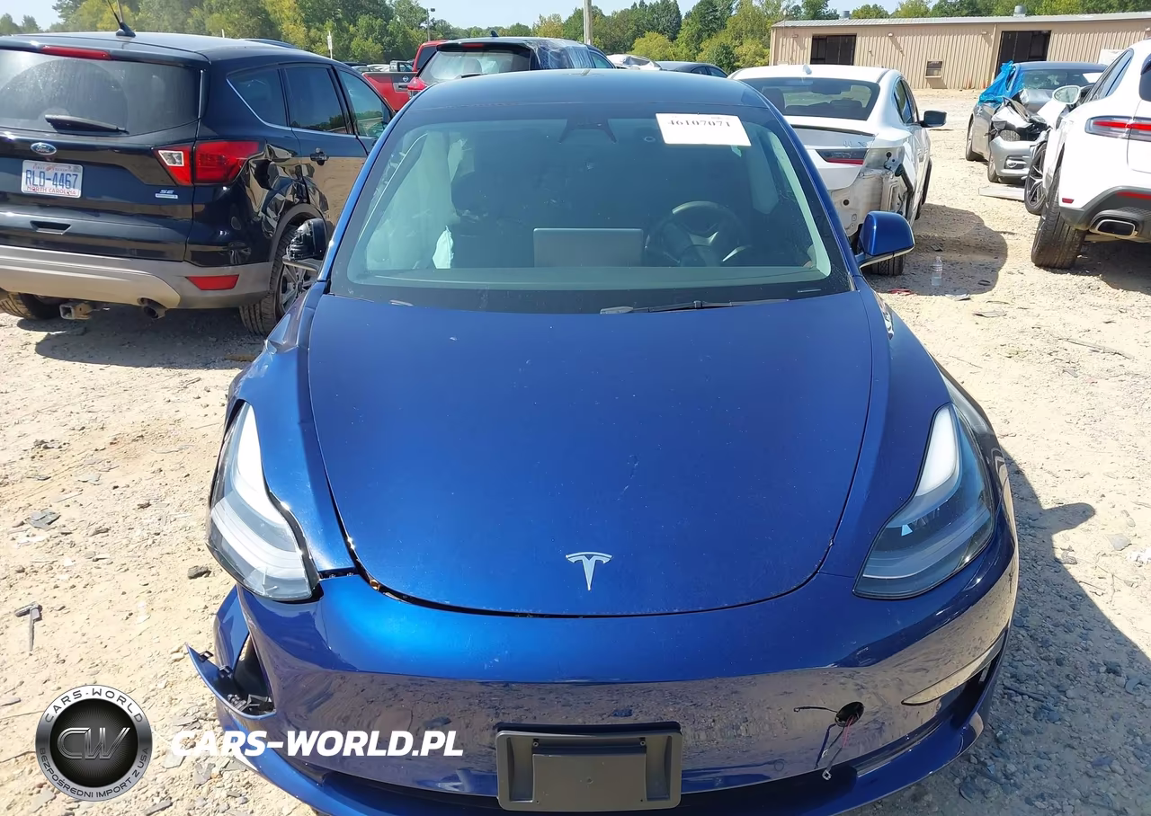 2021 Tesla Model 3 Standard Range Plus Rear-Wheel Drive VIN:5YJ3E1EA8MF096635 - 12