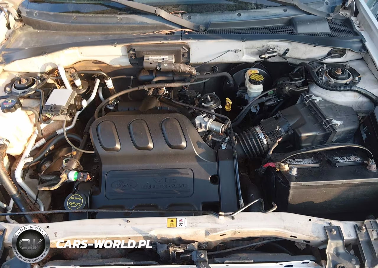 2004 Ford Escape Limited VIN:1FMCU041X4KB18986 - 10