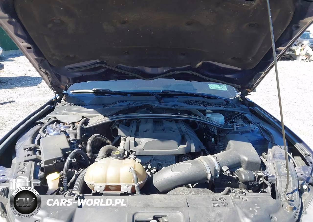 2019 Ford Mustang Ecoboost Premium VIN:1FA6P8TH5K5203712 - 10