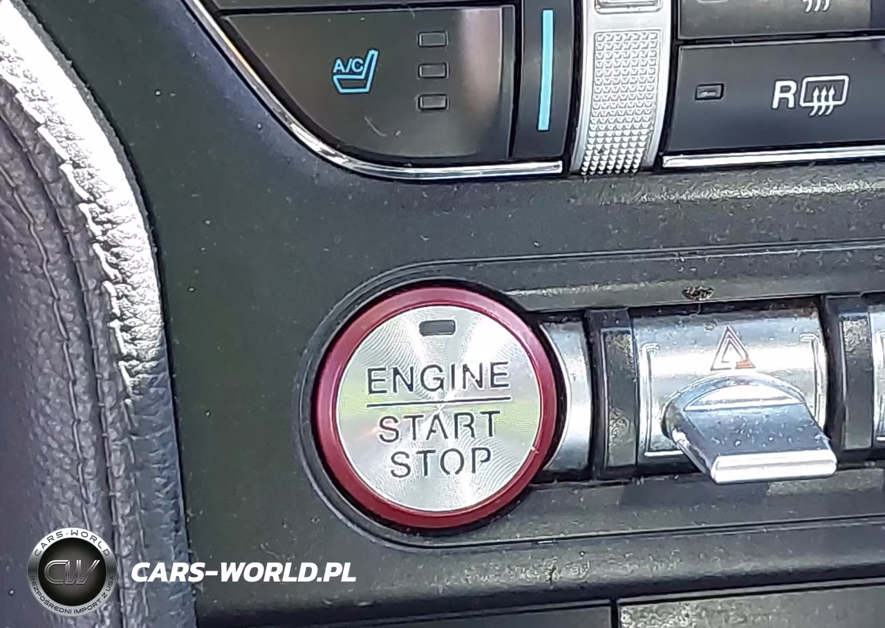 2019 Ford Mustang Ecoboost Premium VIN:1FA6P8TH5K5203712 - 11