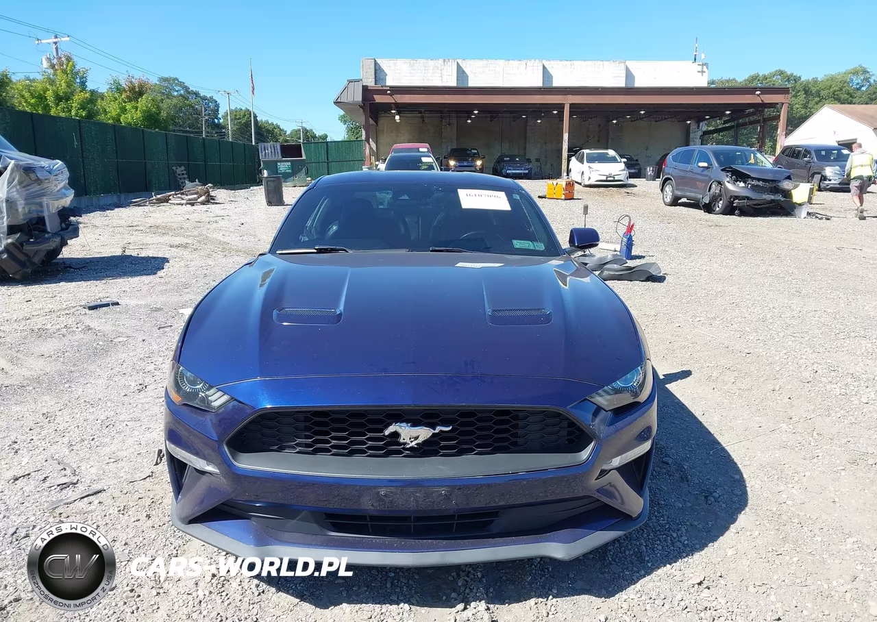 2019 Ford Mustang Ecoboost Premium VIN:1FA6P8TH5K5203712 - 13