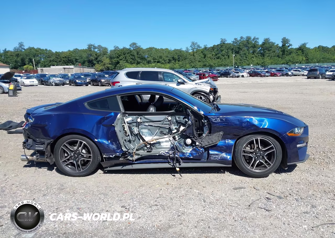 2019 Ford Mustang Ecoboost Premium VIN:1FA6P8TH5K5203712 - 14