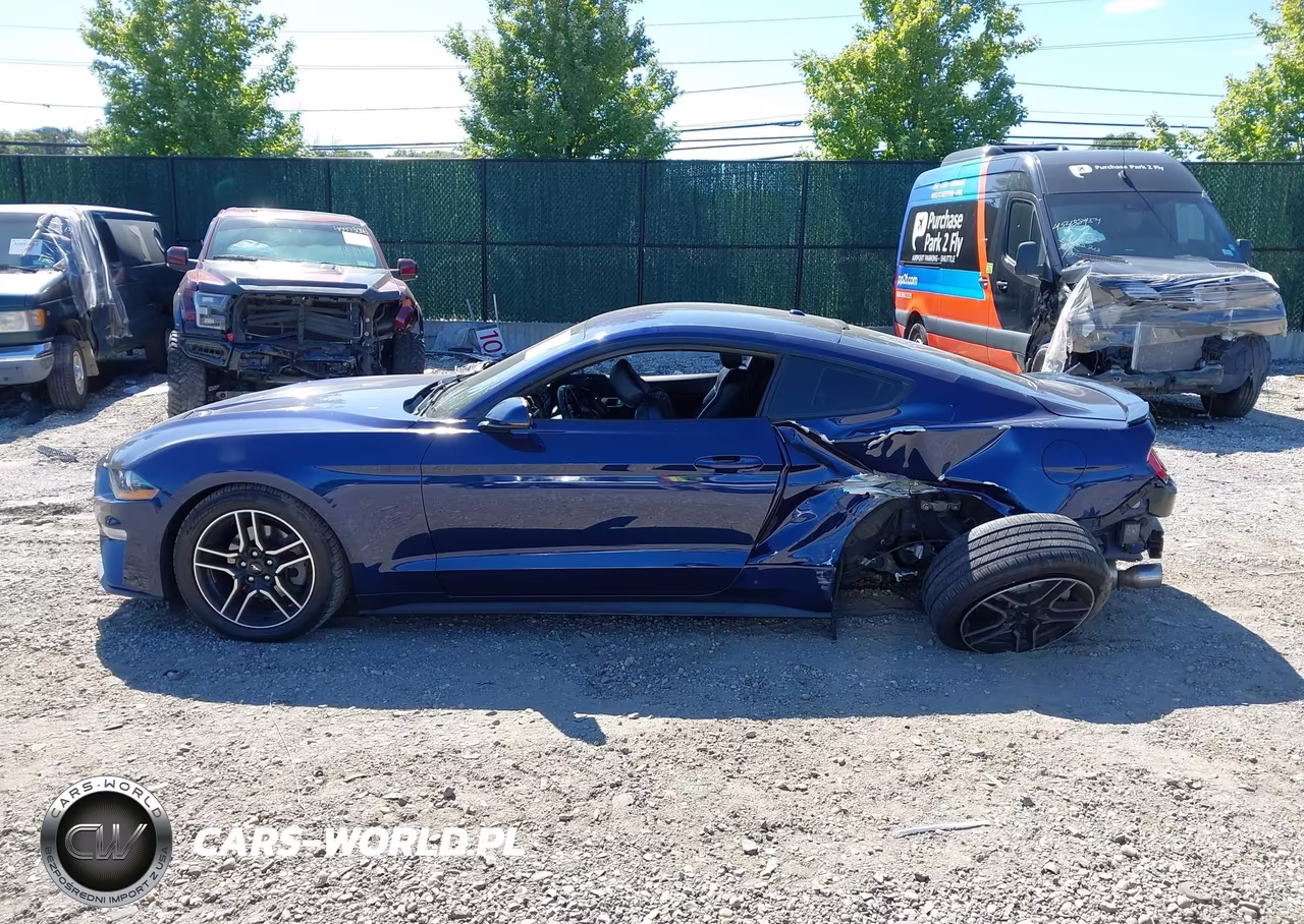 2019 Ford Mustang Ecoboost Premium VIN:1FA6P8TH5K5203712 - 15