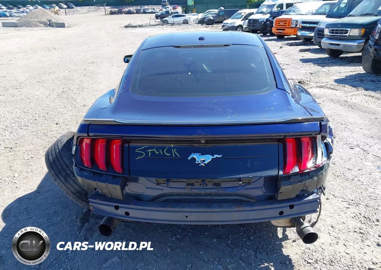 2019 Ford Mustang Ecoboost Premium VIN:1FA6P8TH5K5203712 - 17