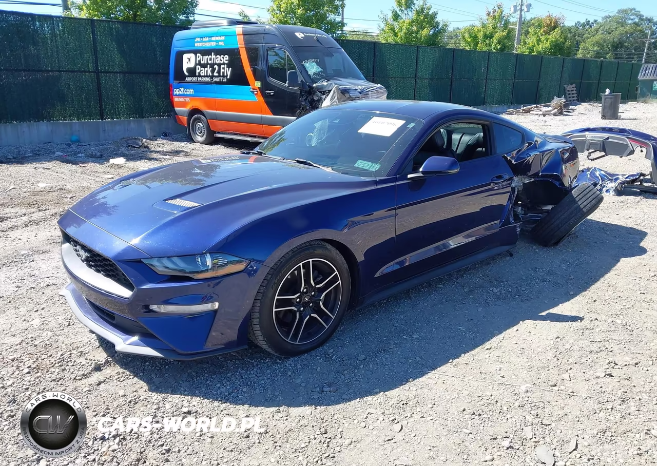 2019 Ford Mustang Ecoboost Premium VIN:1FA6P8TH5K5203712 - 2