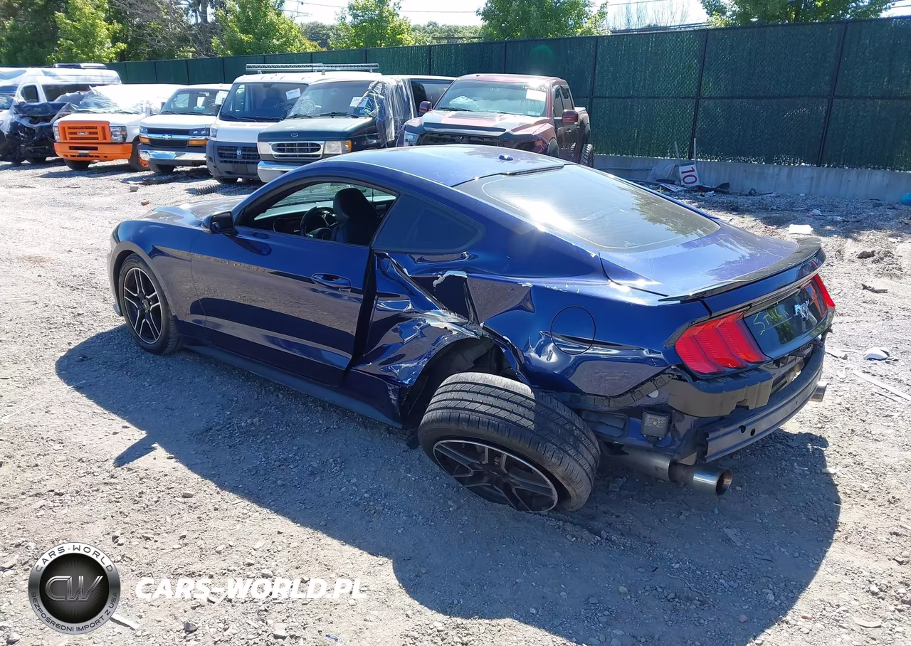 2019 Ford Mustang Ecoboost Premium VIN:1FA6P8TH5K5203712 - 3