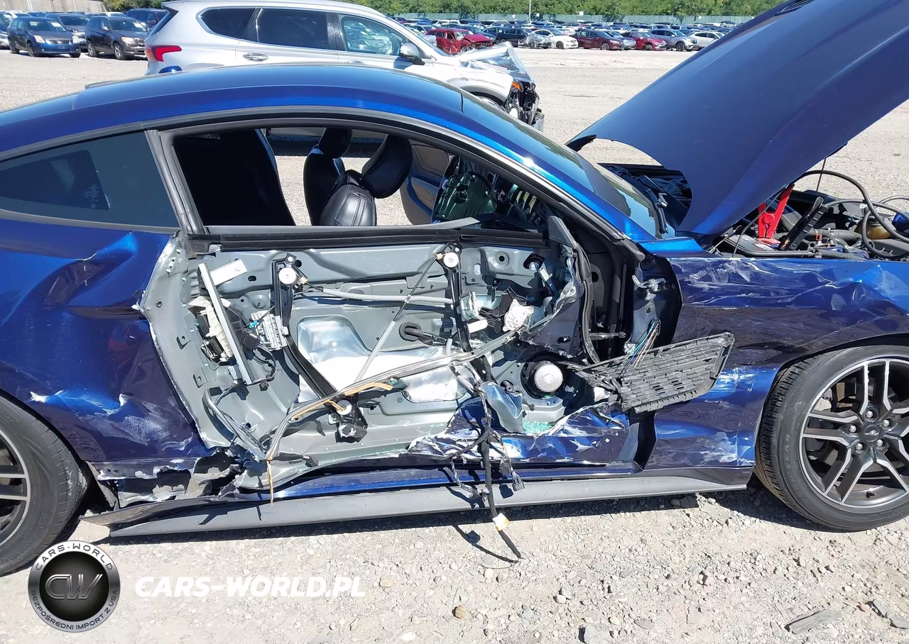 2019 Ford Mustang Ecoboost Premium VIN:1FA6P8TH5K5203712 - 6