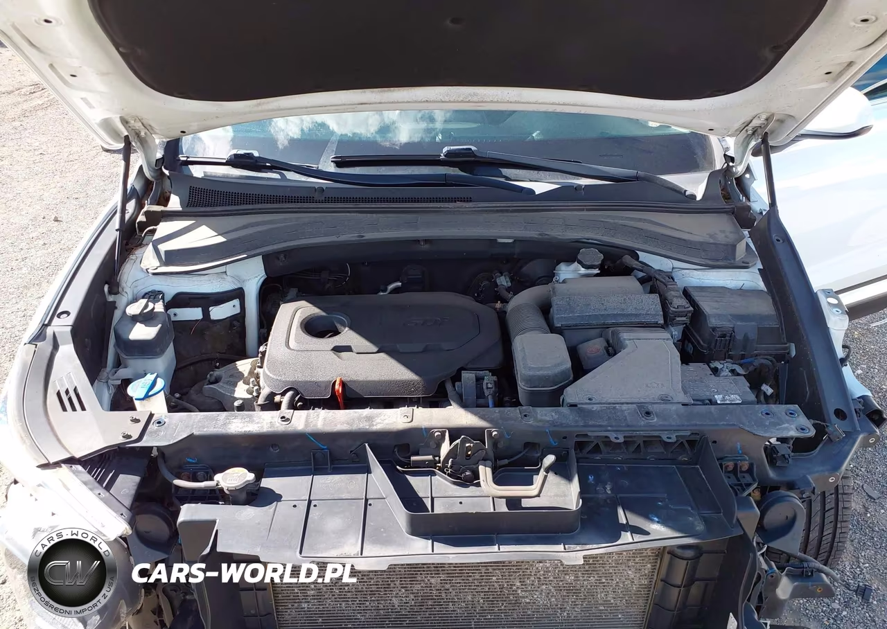 2019 Hyundai Santa Fe Se VIN:5NMS2CAD1KH132550 - 10