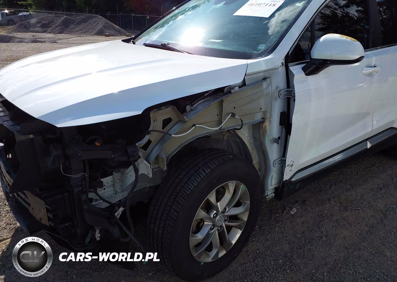 2019 Hyundai Santa Fe Se VIN:5NMS2CAD1KH132550 - 6