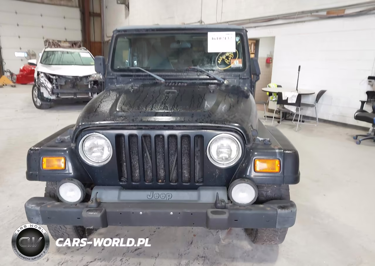 2002 Jeep Wrangler Sahara VIN:1J4FA59S32P764888 - 12