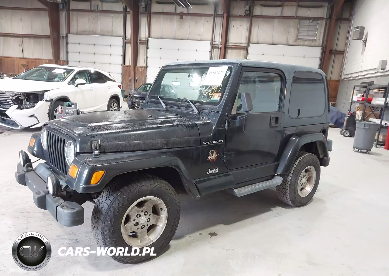 2002 Jeep Wrangler Sahara VIN:1J4FA59S32P764888 - 2