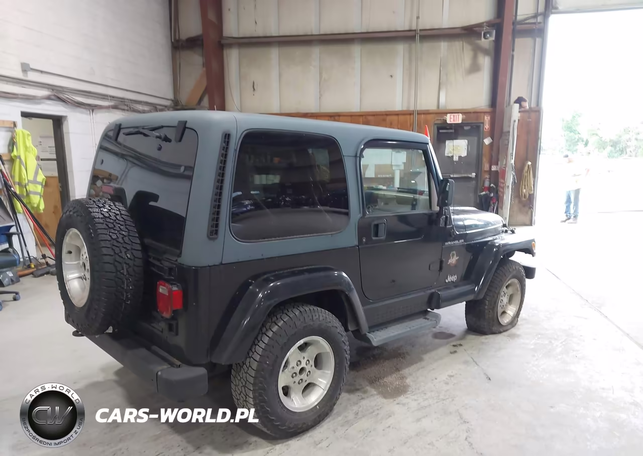 2002 Jeep Wrangler Sahara VIN:1J4FA59S32P764888 - 4