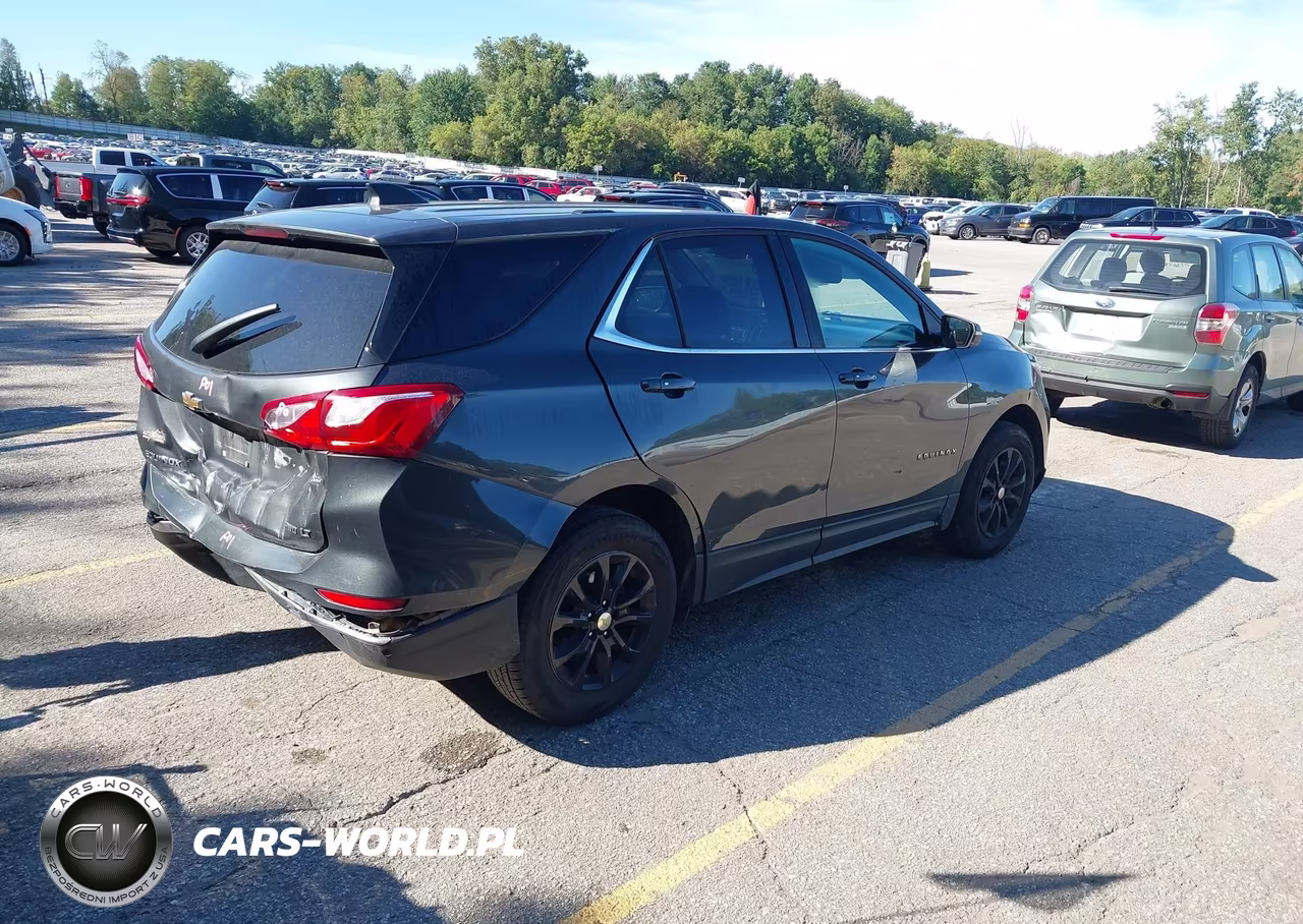 2019 Chevrolet Equinox Lt VIN:2GNAXTEV2K6250640 - 4