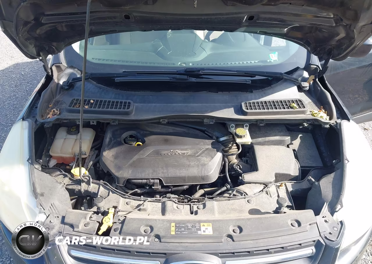 2015 Ford Escape Se VIN:1FMCU0GXXFUA22623 - 10