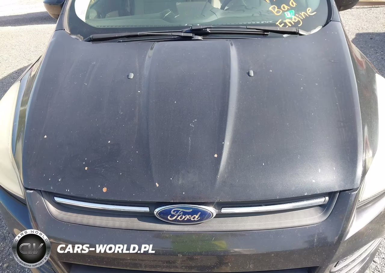 2015 Ford Escape Se VIN:1FMCU0GXXFUA22623 - 14