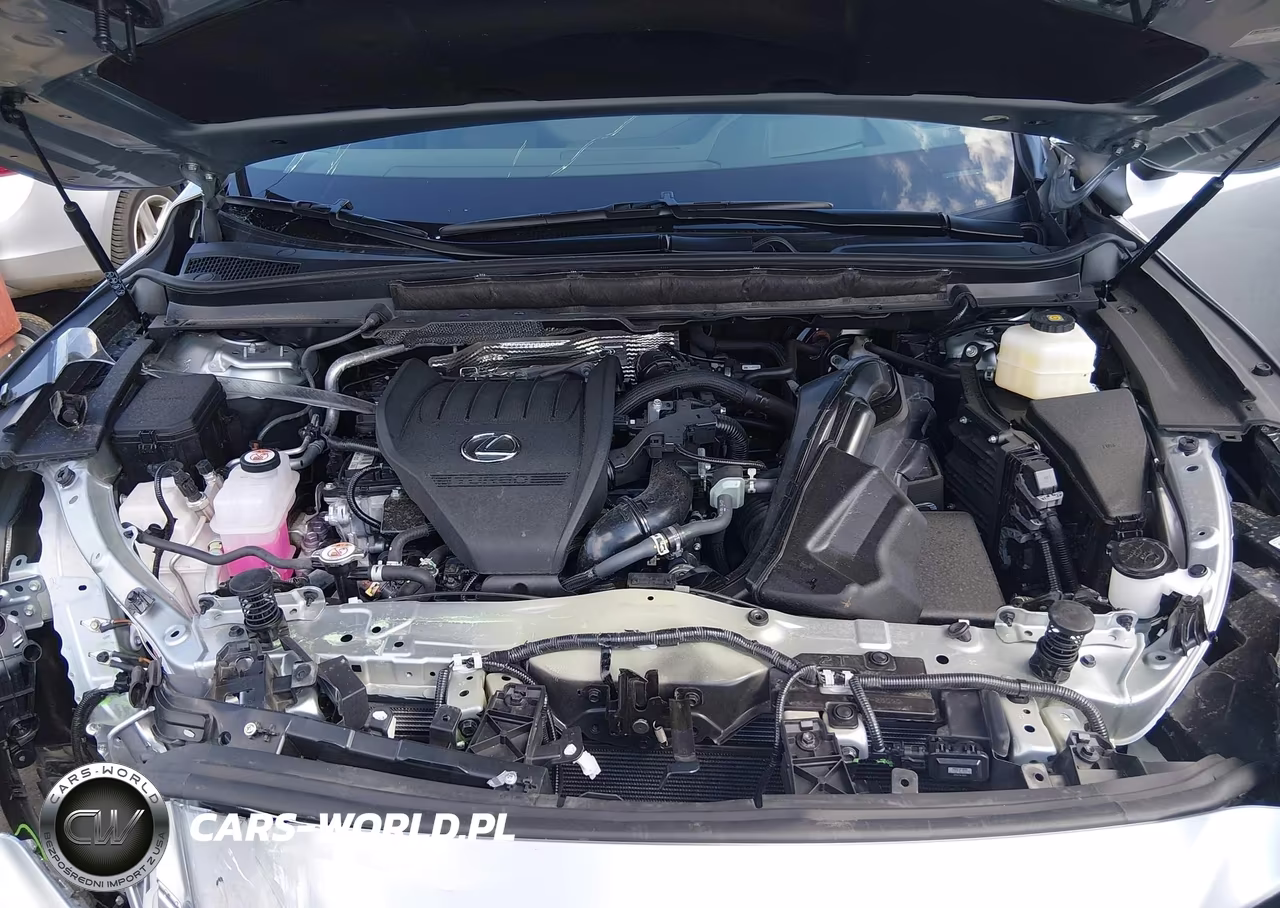 2025 Lexus Rx 350 Luxury VIN:2T2BAMCA2SC118363 - 10
